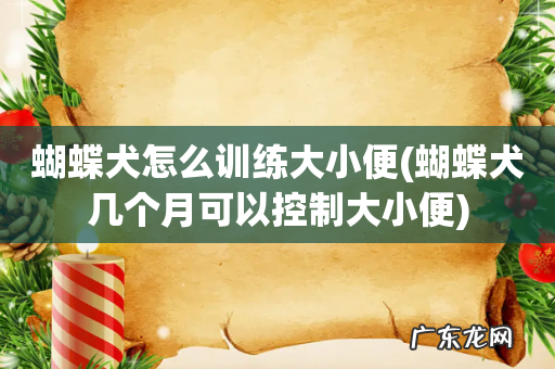 蝴蝶犬几个月可以控制大小便 蝴蝶犬怎么训练大小便