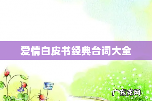 爱情白皮书经典台词大全