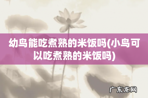 小鸟可以吃煮熟的米饭吗 幼鸟能吃煮熟的米饭吗