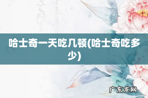 哈士奇吃多少 哈士奇一天吃几顿