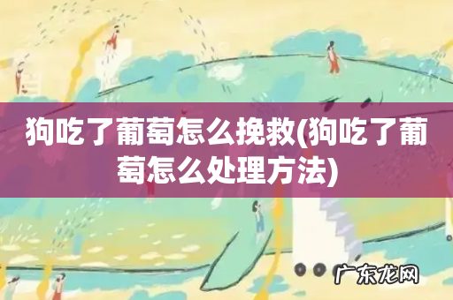 狗吃了葡萄怎么处理方法 狗吃了葡萄怎么挽救