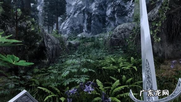 上古卷轴5必备mod 上古卷轴5人物mod推荐