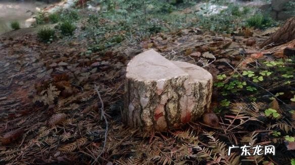 上古卷轴5必备mod 上古卷轴5人物mod推荐