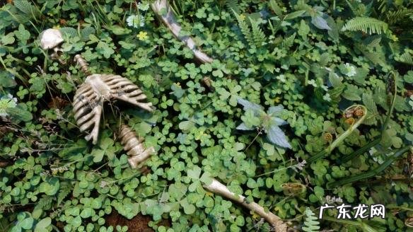 上古卷轴5必备mod 上古卷轴5人物mod推荐