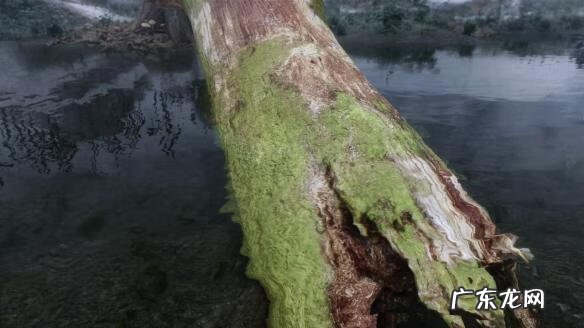 上古卷轴5必备mod 上古卷轴5人物mod推荐