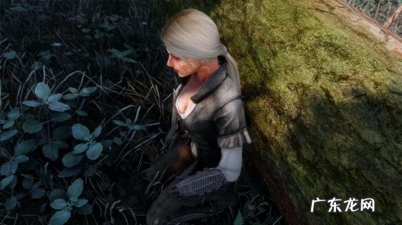 上古卷轴5必备mod 上古卷轴5人物mod推荐