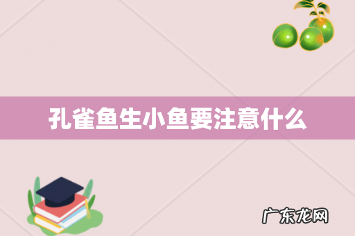 孔雀鱼生小鱼要注意什么