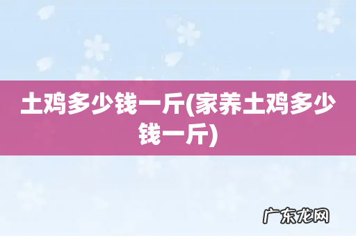 家养土鸡多少钱一斤 土鸡多少钱一斤