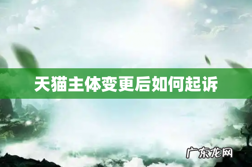 天猫主体变更后如何起诉