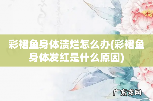 彩裙鱼身体发红是什么原因 彩裙鱼身体溃烂怎么办