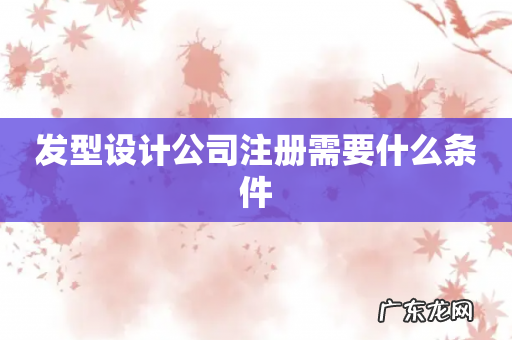发型设计公司注册需要什么条件