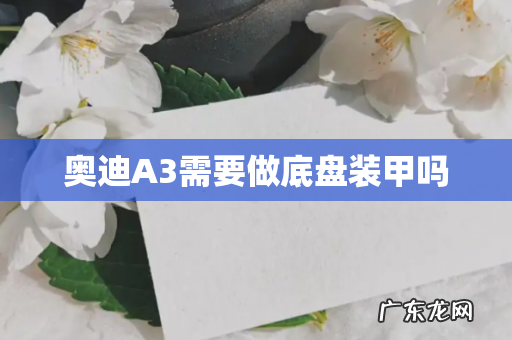 奥迪A3需要做底盘装甲吗