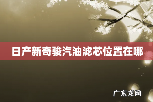 日产新奇骏汽油滤芯位置在哪