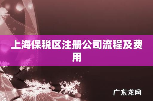 上海保税区注册公司流程及费用