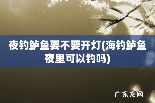 海钓鲈鱼夜里可以钓吗 夜钓鲈鱼要不要开灯