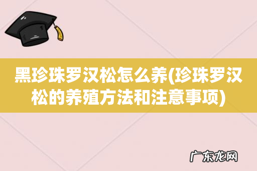 珍珠罗汉松的养殖方法和注意事项 黑珍珠罗汉松怎么养