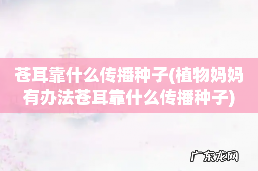 植物妈妈有办法苍耳靠什么传播种子 苍耳靠什么传播种子