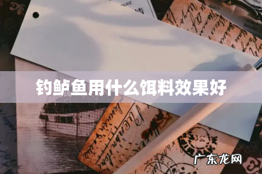 钓鲈鱼用什么饵料效果好