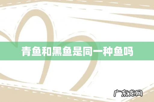 青鱼和黑鱼是同一种鱼吗