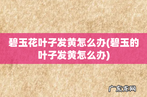 碧玉的叶子发黄怎么办 碧玉花叶子发黄怎么办