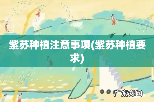 紫苏种植要求 紫苏种植注意事项