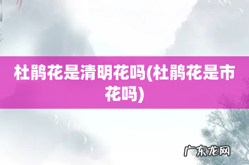 杜鹃花是市花吗 杜鹃花是清明花吗