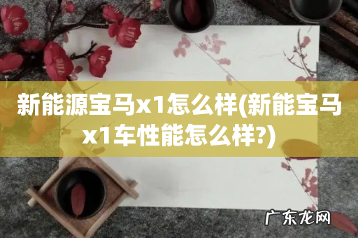 新能宝马x1车性能怎么样? 新能源宝马x1怎么样