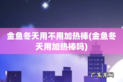 金鱼冬天用加热棒吗 金鱼冬天用不用加热棒