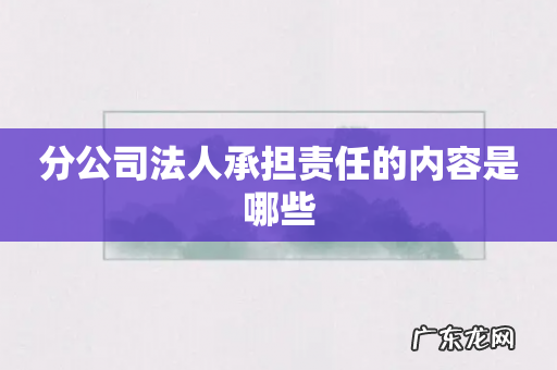 分公司法人承担责任的内容是哪些