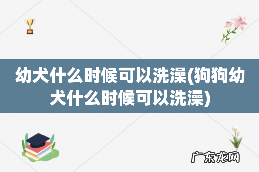 狗狗幼犬什么时候可以洗澡 幼犬什么时候可以洗澡