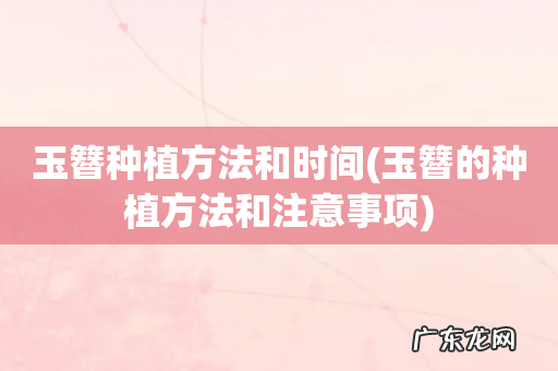 玉簪的种植方法和注意事项 玉簪种植方法和时间