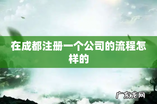 在成都注册一个公司的流程怎样的