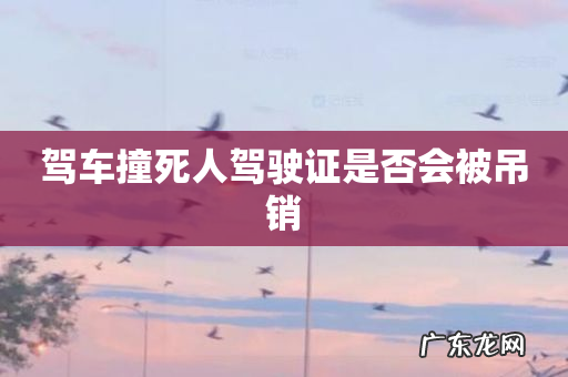 驾车撞死人驾驶证是否会被吊销