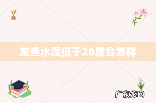 龙鱼水温低于20度会怎样