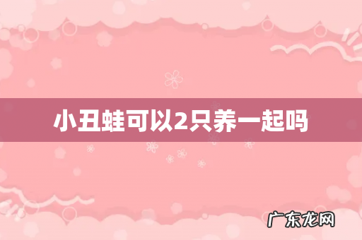 小丑蛙可以2只养一起吗