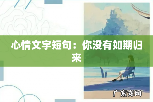 心情文字短句:你没有如期归来