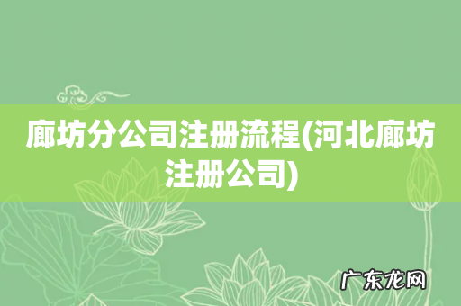 河北廊坊注册公司 廊坊分公司注册流程