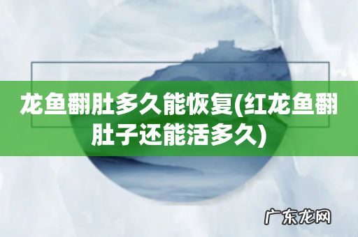 红龙鱼翻肚子还能活多久 龙鱼翻肚多久能恢复