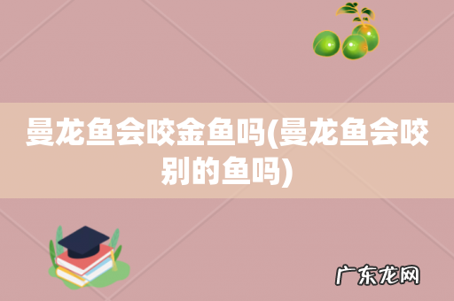 曼龙鱼会咬别的鱼吗 曼龙鱼会咬金鱼吗