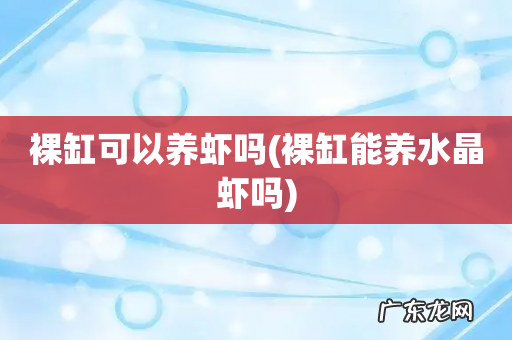裸缸能养水晶虾吗 裸缸可以养虾吗