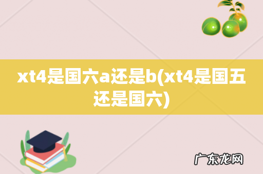 xt4是国五还是国六 xt4是国六a还是b