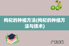 枸杞的种植方法与技术 枸杞的种植方法