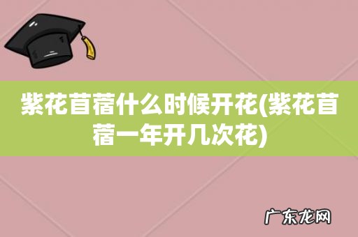 紫花苜蓿一年开几次花 紫花苜蓿什么时候开花