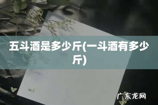 一斗酒有多少斤 五斗酒是多少斤