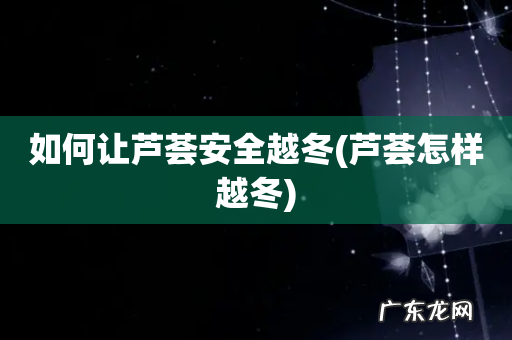 芦荟怎样越冬 如何让芦荟安全越冬