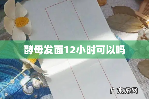 酵母发面12小时可以吗