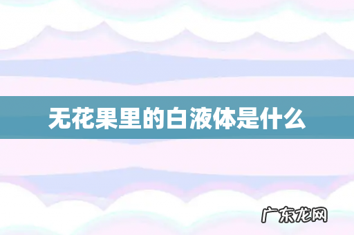 无花果里的白液体是什么