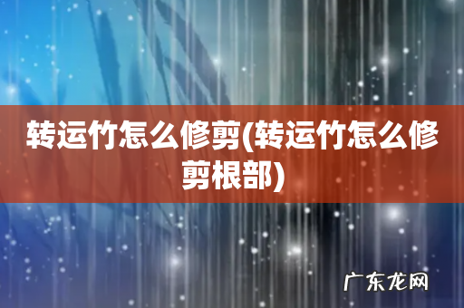 转运竹怎么修剪根部 转运竹怎么修剪