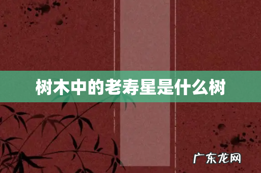 树木中的老寿星是什么树