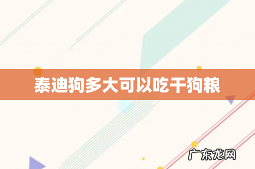 泰迪狗多大可以吃干狗粮